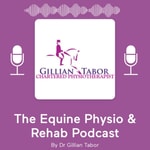 Podcast The Vet Physio Podcast - Research Rewind