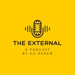 Logo of the podcast The External Podcast The External