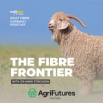 Podcast The Fibre Frontier  