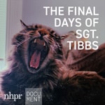 Logo of the podcast The Final Days of Sgt. Tibbs Podcast The Final Days of Sgt. Tibbs