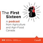 The First Sixteen The First Sixteen