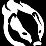 Logo of the podcast The Flashing Badger Podcast Podcast The Flashing Badger Podcast