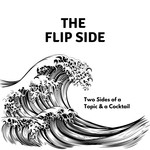 The Flip Side Podcast The Flip Side