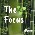 The Focus Podcast The Focus