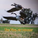 Logo of the podcast The Fowl Fix Podcast Podcast The Fowl Fix Podcast