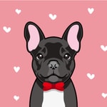 Logo of the podcast The French Bulldog Podcast By Top Frenchie Podcast The French Bulldog Podcast By Top Frenchie
