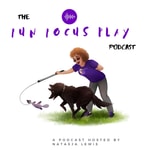 The Fun | Focus | Play Podcast The Fun | Focus | Play Podcast