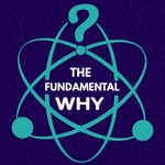 Logo of the podcast The Fundamental Why Podcast The Fundamental Why