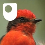 Podcast The Galapagos - for iPad/Mac/PC