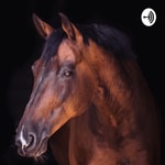 Logo of the podcast The Gift of The Horse Podcast Podcast The Gift of The Horse Podcast