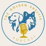 Logo of the podcast The Golden Sheltie Podcast Podcast The Golden Sheltie Podcast