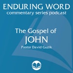 Logo of the podcast The Gospel of John – Enduring Word Media Server Podcast The Gospel of John – Enduring Word Media Server