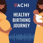 Logo of the podcast The Healthy Birthing Journey Podcast Podcast The Healthy Birthing Journey Podcast
