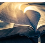 Logo of the podcast The Holy Bible - English Podcast The Holy Bible - English