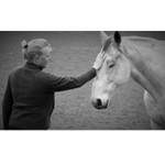 Logo of the podcast The Horse Human Connection - How We Learn From Horses Podcast The Horse Human Connection - How We Learn From Horses