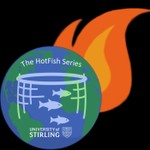 Logo of the podcast The HotFish Podcasts Podcast The HotFish Podcasts