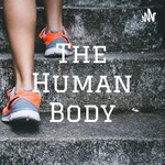Logo of the podcast The Human Body Podcast The Human Body
