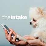 Logo of the podcast the Intake
