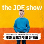 Logo of the podcast the JOE show Podcast the JOE show