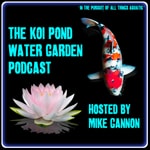 Podcast The Koi Pond Water Garden Podcast