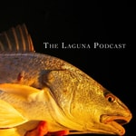 Logo of the podcast The Laguna Podcast Podcast The Laguna Podcast