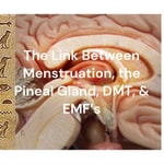Logo of the podcast The Link Between Menstruation, the Pineal Gland, DMT, & EMF's Podcast The Link Between Menstruation, the Pineal Gland, DMT, & EMF's