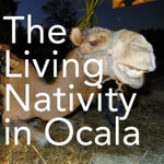 Logo of the podcast The Living Nativity Pageant in Ocala Podcast The Living Nativity Pageant in Ocala