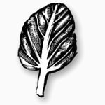 Logo of the podcast The Local Food Report Podcast The Local Food Report