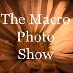 The Macro Photo Show The Macro Photo Show