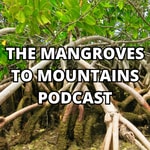 Logo of the podcast The Mangroves to Mountains Podcast Podcast The Mangroves to Mountains Podcast