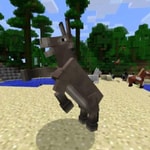 Logo of the podcast The minecraft donkey Podcast The minecraft donkey