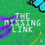 Logo of the podcast The Missing Link Podcast The Missing Link