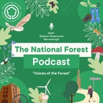 Logo of the podcast The National Forest Podcast Podcast The National Forest Podcast