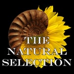 The Natural Selection Presents The Natural Selection Presents