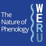 Logo of the podcast The Nature of Phenology | WERU 89.9 FM Blue Hill, Maine Local News and Public Affairs Archives Podcast The Nature of Phenology | WERU 89.9 FM Blue Hill, Maine Local News and Public Affairs Archives