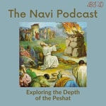 Logo of the podcast The Navi Podcast Podcast The Navi Podcast