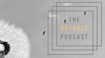 Logo of the podcast The Notable Podcast Podcast The Notable Podcast