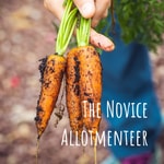 Logo of the podcast The Novice Allotmenteer Podcast The Novice Allotmenteer