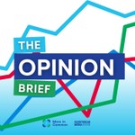 Logo of the podcast The Opinion Brief Podcast The Opinion Brief