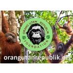Logo of the podcast The Orangutan Podcast Podcast The Orangutan Podcast