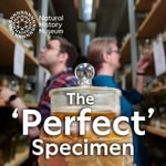The 'Perfect' Specimen The 'Perfect' Specimen