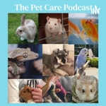 Podcast The Pet Care Podcast