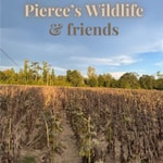 Logo of the podcast The Pierce Wildlife’s Podcast Podcast The Pierce Wildlife’s Podcast
