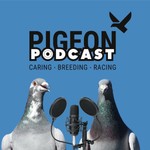 Logo of the podcast The Pigeon Podcast Missing podcast logo