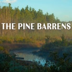Logo of the podcast The Pine Barrens Podcast Podcast The Pine Barrens Podcast