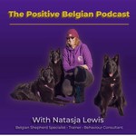 The Positive Belgian Podcast The Positive Belgian