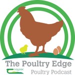 The Poultry Edge Podcast The Poultry Edge