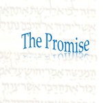 Logo of the podcast The Promise Podcast The Promise