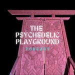 The Psychedelic Playground The Psychedelic Playground