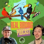 The Real Birding Podcast Podcast The Real Birding Podcast